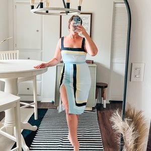 Aritzia Babaton Bodycon Midi Dress